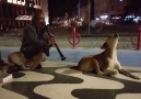 İzmir Kordonda efkar dağıtan klarnetçi abimiz ve onun köpek dostu. )