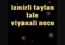 IZMIRLI TAYLAN LALE BY WINEC