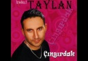 İZMİRLİ TAYLAN - SANKİ DAĞLAR ÜSTÜME GELİYOR 2012