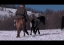 Jaakhan sharga / Little light bay (horse) - B.Munkhbaatar & Th...