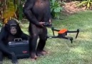 Jale Şenol - Drone pilotluğu için geleceğin mesleği...