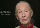 Jane Goodall ile bir röportaj