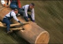 Japanese log riding festival