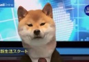 Japanese news is on a whole other levelinstagram.comesafung