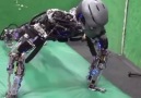 Japon bilim adamları terleyen şınav ve barfiks çeken robot geliştirdi.