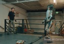 JavaRush - Boston Dynamics Facebook