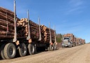 JF Logging - Team Saskatchewan JF 16212324 in Prince...