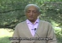 Jiddu Krishnamurti: “Bizler meydana getirdik bu toplumu…”