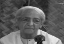 Jiddu Krishnamurti: “Evliya kimdir?”