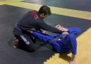 Jiu-Jitsu - Variaço do tringulo partindo da guarda laço...