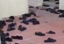 Jiyana Gel - Millet namaz dayken şeytan ayakkabılarla...