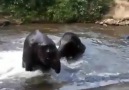 Joyful Bath Time!