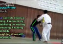 Judo Combinations