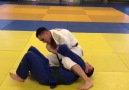 Judo Ne waza - Facebook