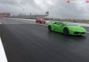 Just a bunch of 3000HP TT Lambos!!!!WTF