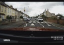 Just A Cat Using A Zebra Crossing