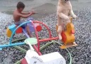 Just A Dog On A Carousel With His Best Friend