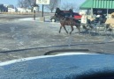 Just an Amish guy on his horse and cart doing doughnuts ViralHog