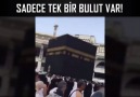 Kabe de Sadece Tek Bulut Var