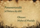 Kabe İmamı Şeyh Mahir al-Mu'ayqali - Amenerrasûlü