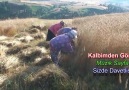 Kader( HD)