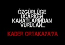 Kader Ortakaya sınırda halay çekiyor