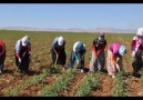 Kadınlardan 8 Mart çağrısı 8 Martta alanlarda sen yoksan bir eksiğiz...