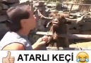 Kafa kırık bunun D Keçi de bizden )Paylaş lütfen..