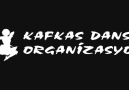 Kafkas Dans Organizasyon