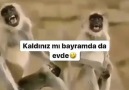 KALDİNİZMİ BU BAYRAMDA EVDE - Arabesk ve damar dj prenses