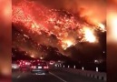 Kaliforniya alev alev yanıyor
