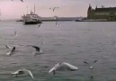 Kalıyoruz..!Kuş olup uçmak isterken Ağaç olup kök salıyoruz. Can Yücel