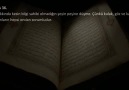 Kalp Düşünür mü ?