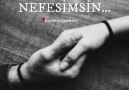 KaLp SıZıM - Ama sen benim NeFeSiMsiN..