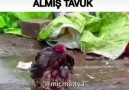 Kalpte VE Gönülde Kalanlar le 8 mars