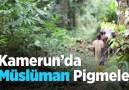 Kamerunda Müslüman Pigmeler