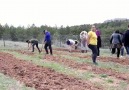 Kampüslerden doğaya uzanan bir eliz. ... - Doğanın Çocukları