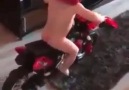 Kamu Spotu..... Kask Önemli