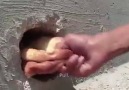 Kanak-kanak Palestin seludup roti