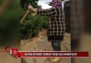 KANAL 68 - BAYMIŞ KÖYÜNDE YAĞMUR YAĞIŞI SELE NEDEN OLDU