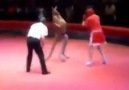 Kangru boksör boksörü pişman ediyor :)
