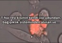 Kanser hücresinin mutluluk hormonuna yenildiği an...Daima mutlu olun...