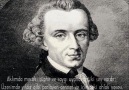 Kant der ki