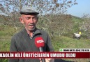 KAOLİN KİLİ ÜRETİCİLERİN UMUDU OLDU