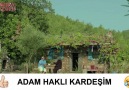 Kapak üstüne kapak )Paylaş lütfen..