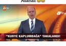 Kaplumbağalara kaçakçılık yaptıran Adanalı D