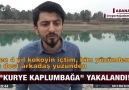 Kaplumbağa Uyuşturucu Taşırken Yakalandı