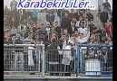 KARABEKİRLİ ŞİMŞEKLER ... !