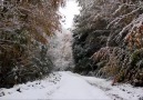 Karabük-Yenice ormanları...Doğa YENİCE dir...