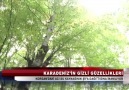 KARADENİZİN GİZLİ GÜZELLİKLERİ. TV52 HABER ORDU...